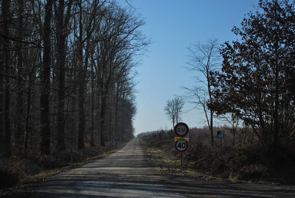 Exploitation forestière de la forêt domaniale de Tronçais