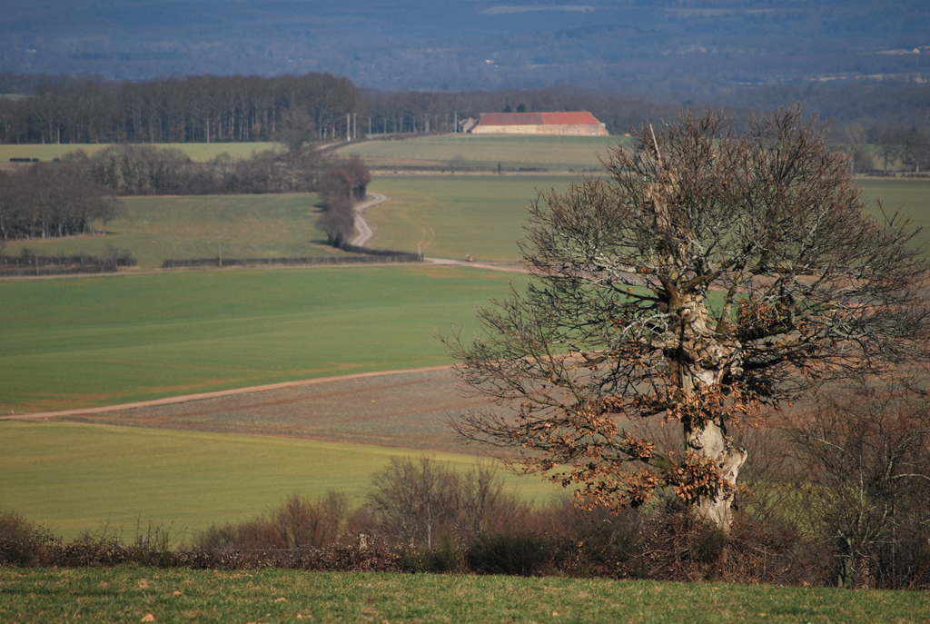 Aux alentours de Saint-Désiré