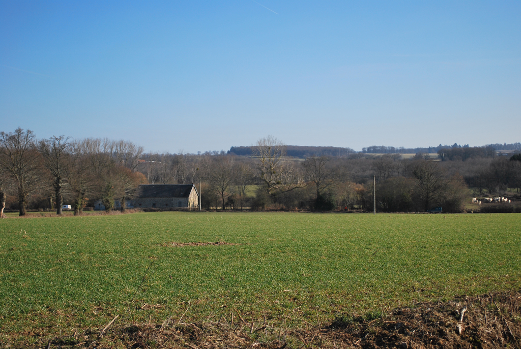 Bocage du Bas-Berry, non loin de Saint-Désiré