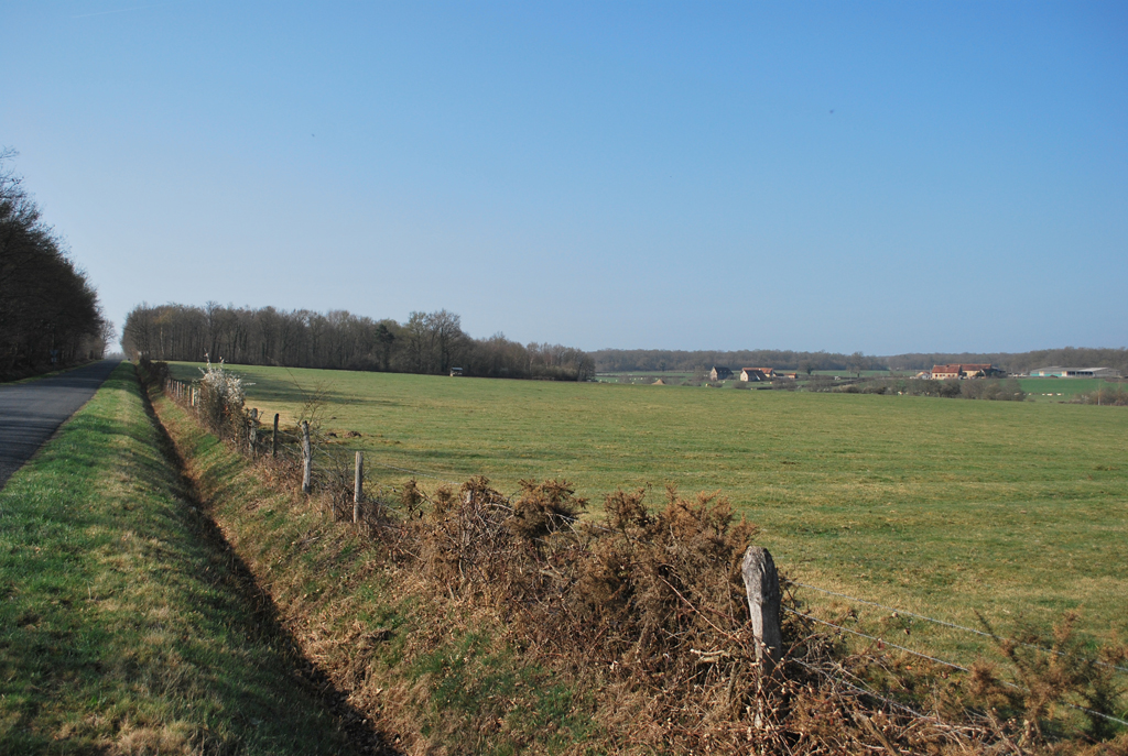 Ambiance solognote, en direction de Thiel-sur-Acolin