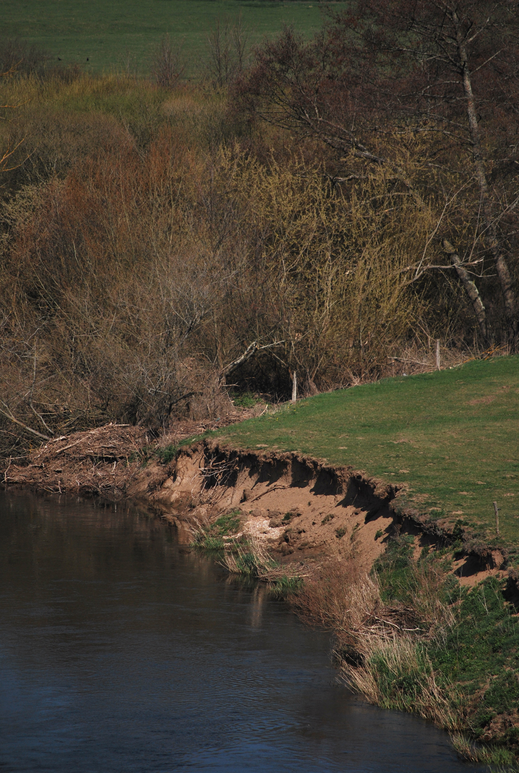 Erosion des berges de la rivière