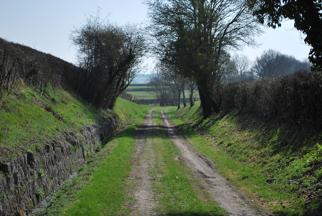 Ancienne voie de chemin de fer entre Chavroches et Sorbier