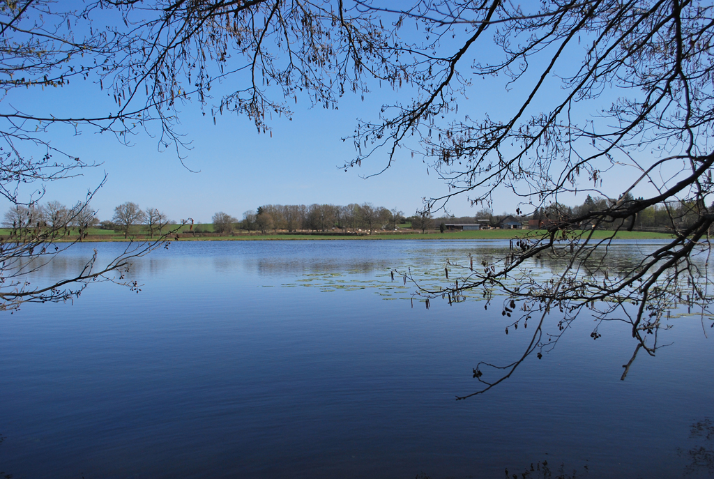 Etang à proximité de la D779 entre Dompierre et Chevagnes