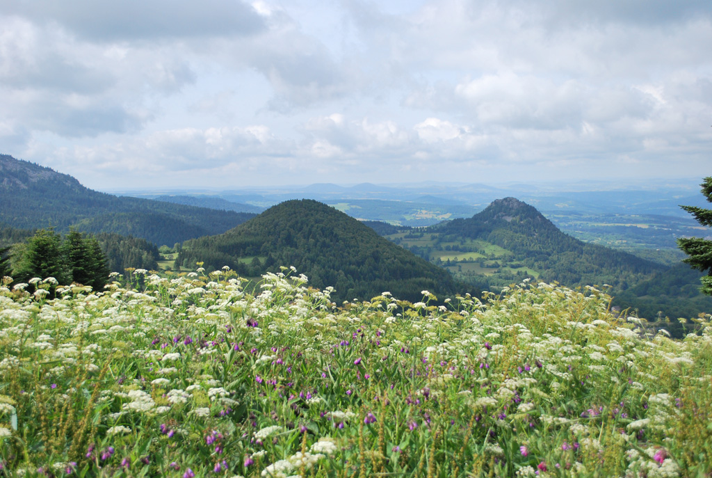 Panorama de Raffy