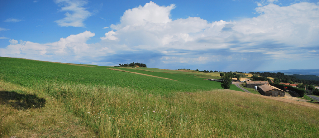 Exploitation agricole à proximité de Lestival