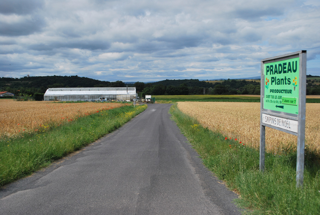 Plaine de Vézézoux