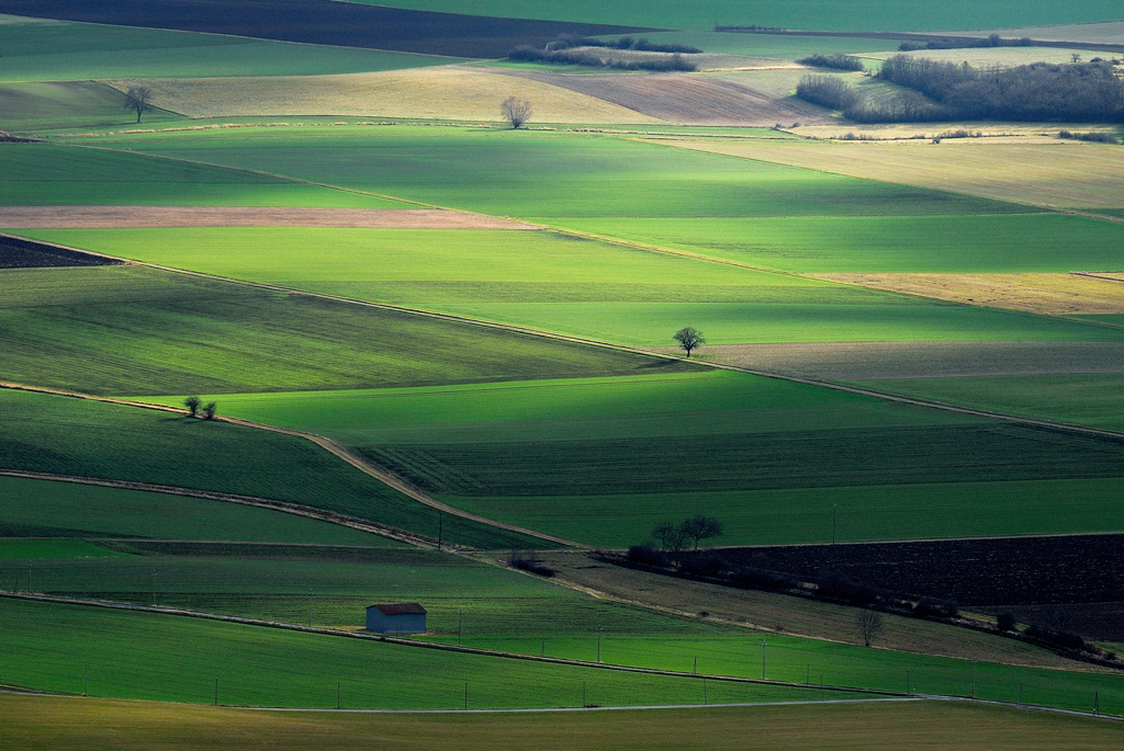 Plaine du Lembronnais