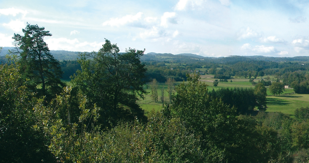 Petite plaine du ruisseau des Martinanches avant sa confluence avec le Miodet