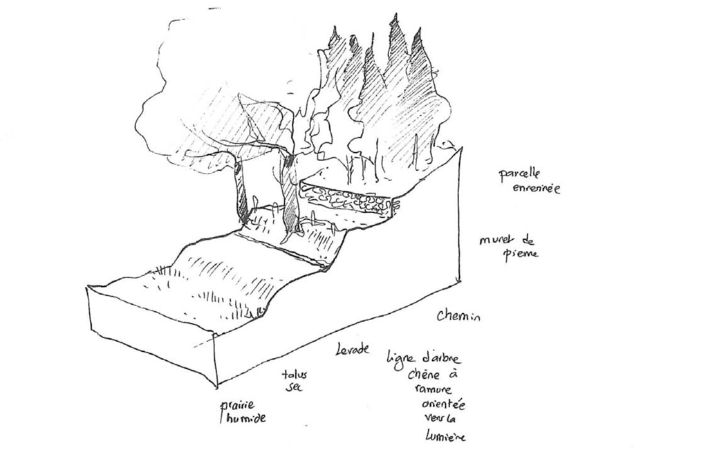 Système de levade au moulin de Beauregard (dessin A. Freytet paysagiste)