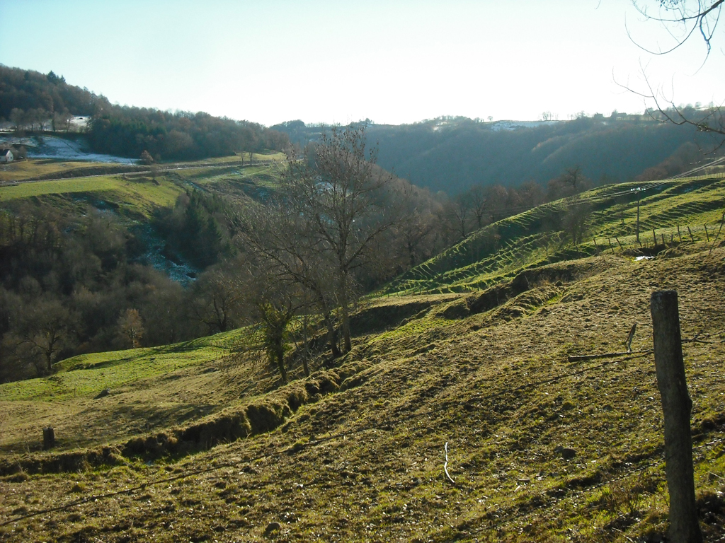 Pâturages du Carladez